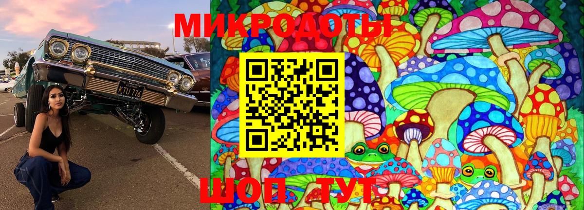 Галлюциногенные грибы MAGIC MUSHROOMS Мурино